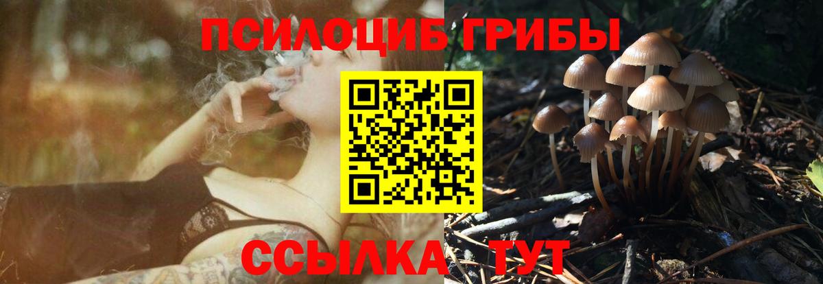 Псилоцибиновые грибы прущие грибы  Вход с VPN  Майкоп 